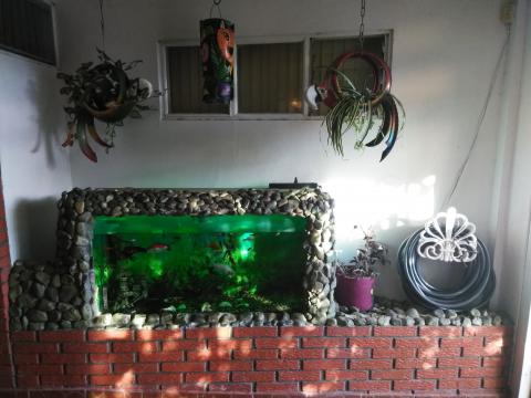 Casa Lima Bed and Breakfast 6-26-2019 Fish Tank