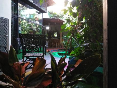 Casa Lima Bed and Breakfast 6-26-2019  Jungle, Bird Cage and Bar View