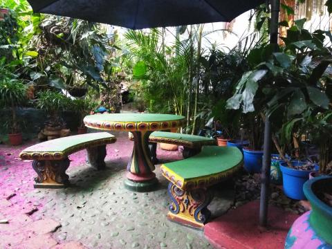 Casa Lima Bed and Breakfast 6-26-2019 Here is the Patio Area that is located in the Jungle Section of the hotel.