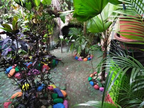 Casa Lima Bed and Breakfast 6-26-2019   This is a walkway inside the Casa Lima Bed and Breakfast Jungle.