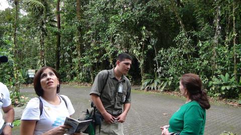 Guide Explaining the Rain Forrest to Myraim Norman