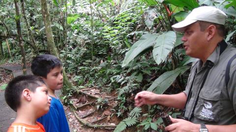 Another Group Walking the Rain Forrest Trails