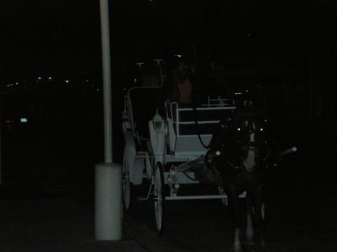 Horse Drawn Wagon at Bayside Market Place in Miami Florida-May 8 2009 (2)