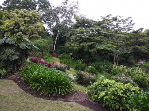 Restaurante La Casona Del Cafetal Backyard Going Down To The Lake