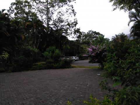 Restaurante La Casona Del Cafetal Walking Area