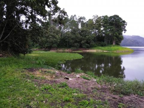 Restaurante La Casona Del Cafetal View of the Lake From One Of the Walking Trails