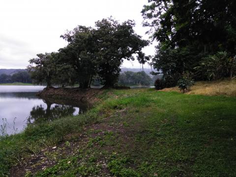 Restaurante La Casona Del Cafetal View of the Lake From One Of the Walking Trails