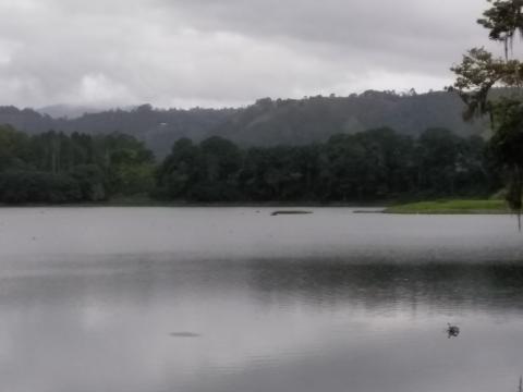 Restaurante La Casona Del Cafetal view of the Lake From One Of the Walking Trails