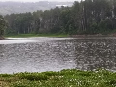 Restaurante La Casona Del Cafetal View of the Lake From One Of the Walking Trails