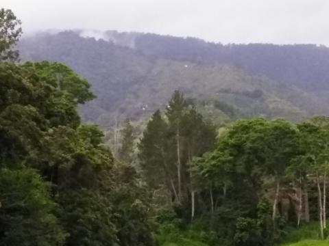 Restaurante La Casona Del Cafetal Mountain View From Across the Lake