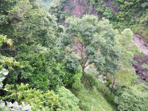 Looking at the Overflow River for the Cashi Damn, Cashi, Costa Rica.