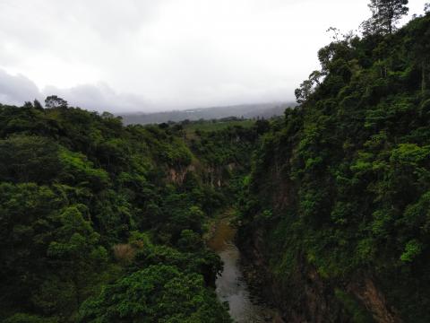 Looking at the Overflow River for the Cashi Damn, Cashi, Costa Rica