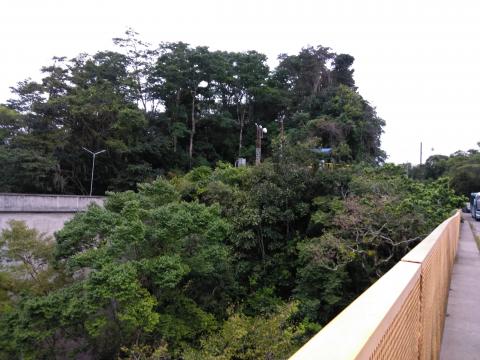 Looking at the Cashi Damn, Cashi, Costa Rica From the Road Bridge