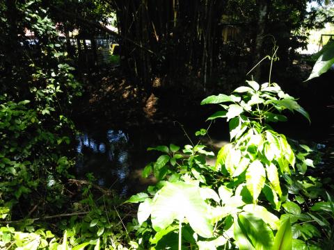 Path From the Main Street to the Parque Nacional Manuel Antonio Park, Costa Rica