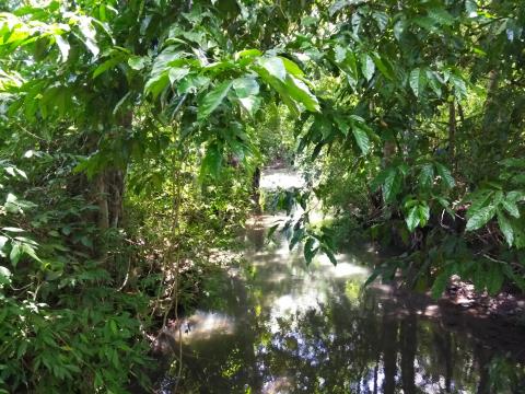 Path From the Main Street to the Parque Nacional Manuel Antonio Park, Costa Rica