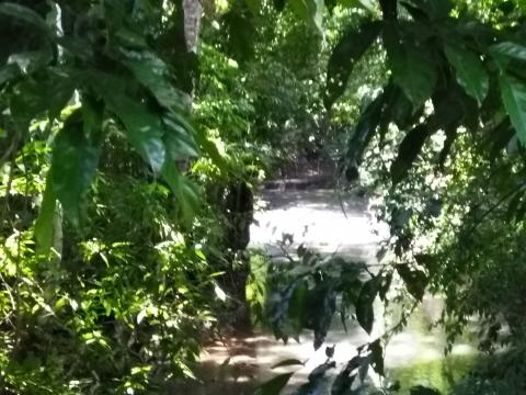 Path From the Main Street to the Parque Nacional Manuel Antonio Park, Costa Rica.