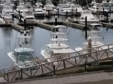 Marina of Manuel Antonio, Quepos, Costa Rica