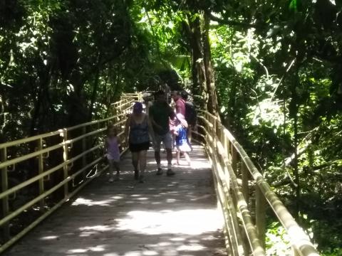 Path in the Parque Nacional Manuel Antonio Park Costa Rica