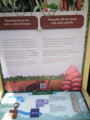 Information Board On Pathway at the Parque Nacional Manuel Antonio Park Costa Rica