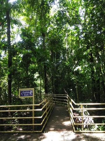 Pathway through the Jungle at Parque Nacional Manuel Antonio Park Costa Rica