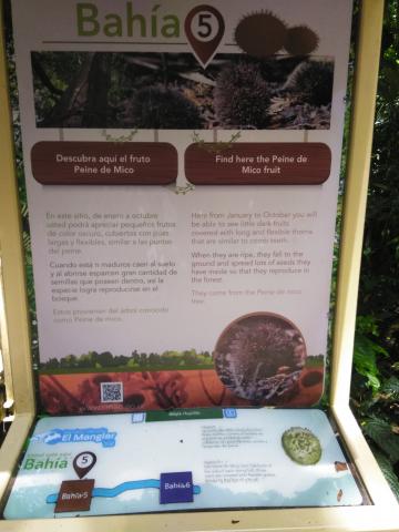 Information Board On Pathway at the Parque Nacional Manuel Antonio Park Costa Rica