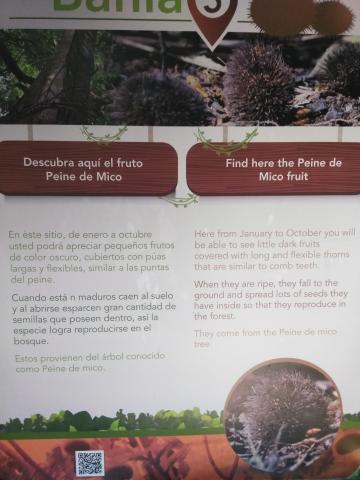 Information Board On Pathway at the Parque Nacional Manuel Antonio Park Costa Rica