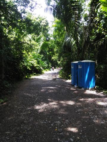 Pathway through the Jungle at Parque Nacional Manuel Antonio Park Costa Rica