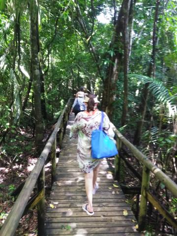 Majorie Soto And Myriam Norman Walking on the Pathway through the Jungle at Parque Nacional Manuel Antonio Park Costa Rica