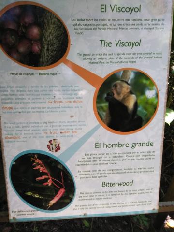 Information Board On Pathway at the Parque Nacional Manuel Antonio Park Costa Rica