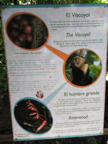 Information Board On Pathway at the Parque Nacional Manuel Antonio Park Costa Rica