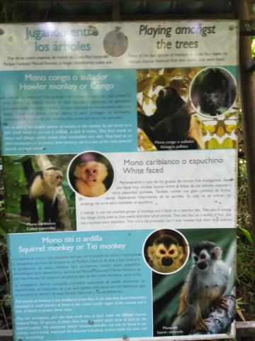 Information Board On Pathway at the Parque Nacional Manuel Antonio Park Costa Rica