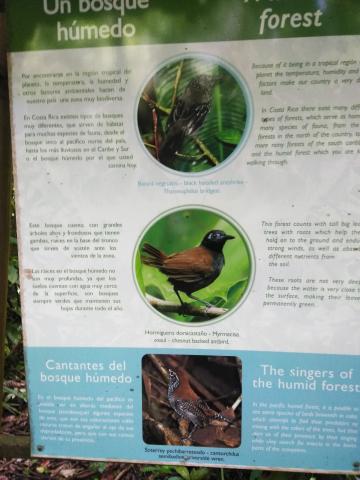 Information Board On Pathway at the Parque Nacional Manuel Antonio Park Costa Rica