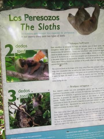 Information Board On Pathway at the Parque Nacional Manuel Antonio Park Costa Rica