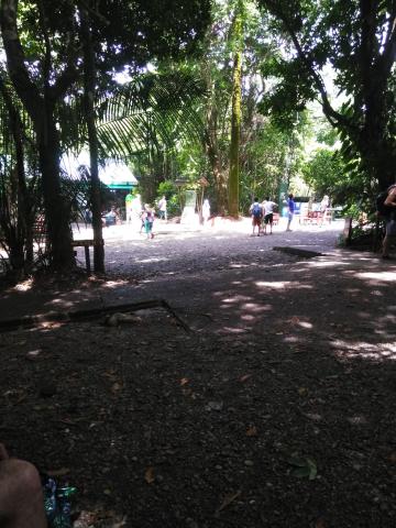 Pathway through the Jungle at Parque Nacional Manuel Antonio Park Costa Rica