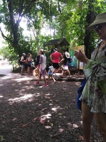 Pathway through the Jungle at Parque Nacional Manuel Antonio Park Costa Rica