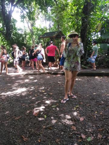 Pathway through the Jungle at Parque Nacional Manuel Antonio Park Costa Rica