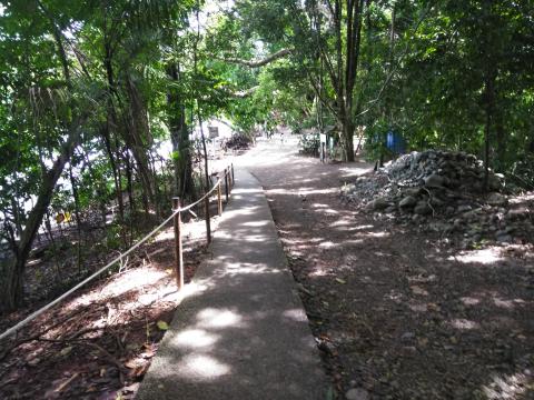 Pathway through the Jungle at Parque Nacional Manuel Antonio Park Costa Rica.  Finally coming to the Pacific Ocean and the Beaches.