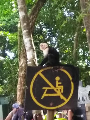 Pacific Ocean Beach Picnic Area With Wild Monkeys Located at Parque Nacional Manuel Antonio Park Costa Rica