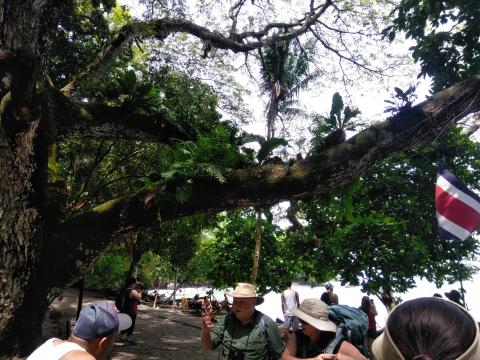 Pacific Ocean Beach Picnic Area With Wild Monkeys Located at Parque Nacional Manuel Antonio Park Costa Rica