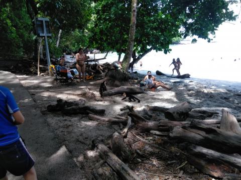 Pacific Ocean Beach Picnic Area With Wild Monkeys Located at Parque Nacional Manuel Antonio Park Costa Rica