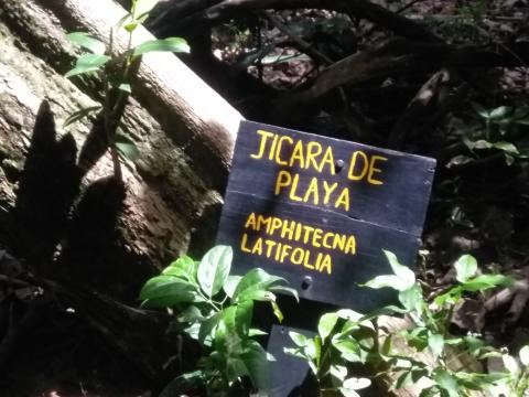 Pacific Ocean Beach Picnic Area Located at Parque Nacional Manuel Antonio Park Costa Rica