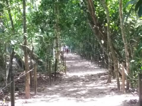 Pathway through the Jungle running along the beach at Parque Nacional Manuel Antonio Park Costa Rica