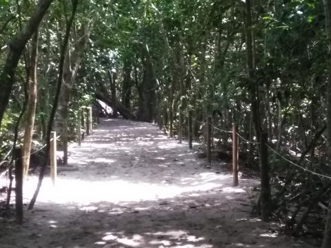 Pathway through the Jungle running along the beach at Parque Nacional Manuel Antonio Park Costa Rica