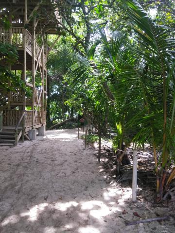 Lookout Tower at Parque Nacional Manuel Antonio Park in Costa Rica