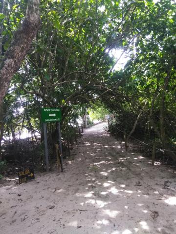 Path to the Second Beach in the Parque Nacional Manuel Antonio Park in Costa Rica