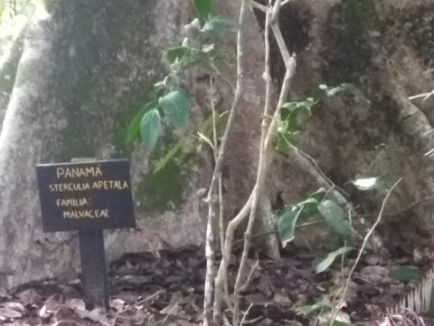 Return Path to the Entrance to the Parque Nacional Manuel Antonio Park in Costa Rica