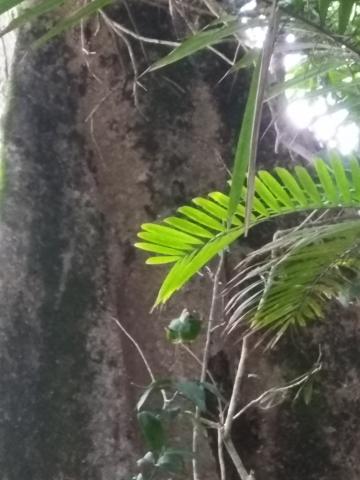 Return Path to the Entrance to the Parque Nacional Manuel Antonio Park in Costa Rica