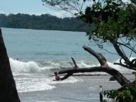 Beach on the Return Path to the Entrance to the Parque Nacional Manuel Antonio Park in Costa Rica