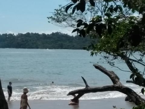 Beach on the Return Path to the Entrance to the Parque Nacional Manuel Antonio Park in Costa Rica