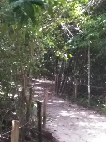 Return Path to the Entrance to the Parque Nacional Manuel Antonio Park in Costa Rica